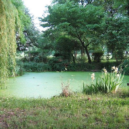 Domaine Des Parisses - Chambres D'Hotes Gennetines Quarto foto
